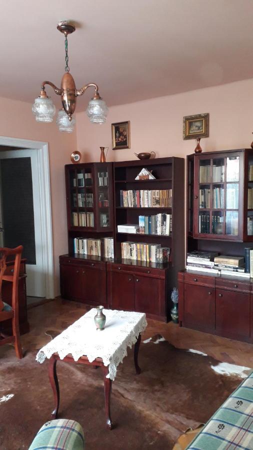 Cozy, Central 1-Bedroom Apartment In Timisoara, Romania Экстерьер фото