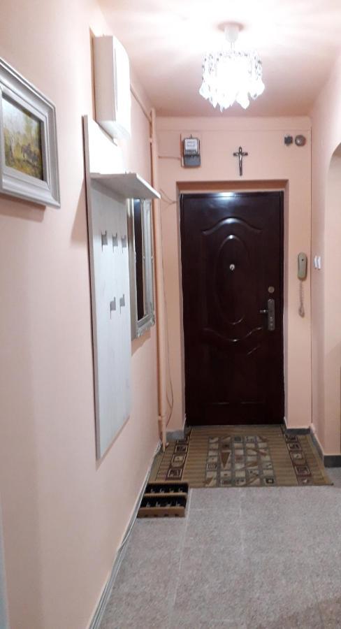 Cozy, Central 1-Bedroom Apartment In Timisoara, Romania Экстерьер фото
